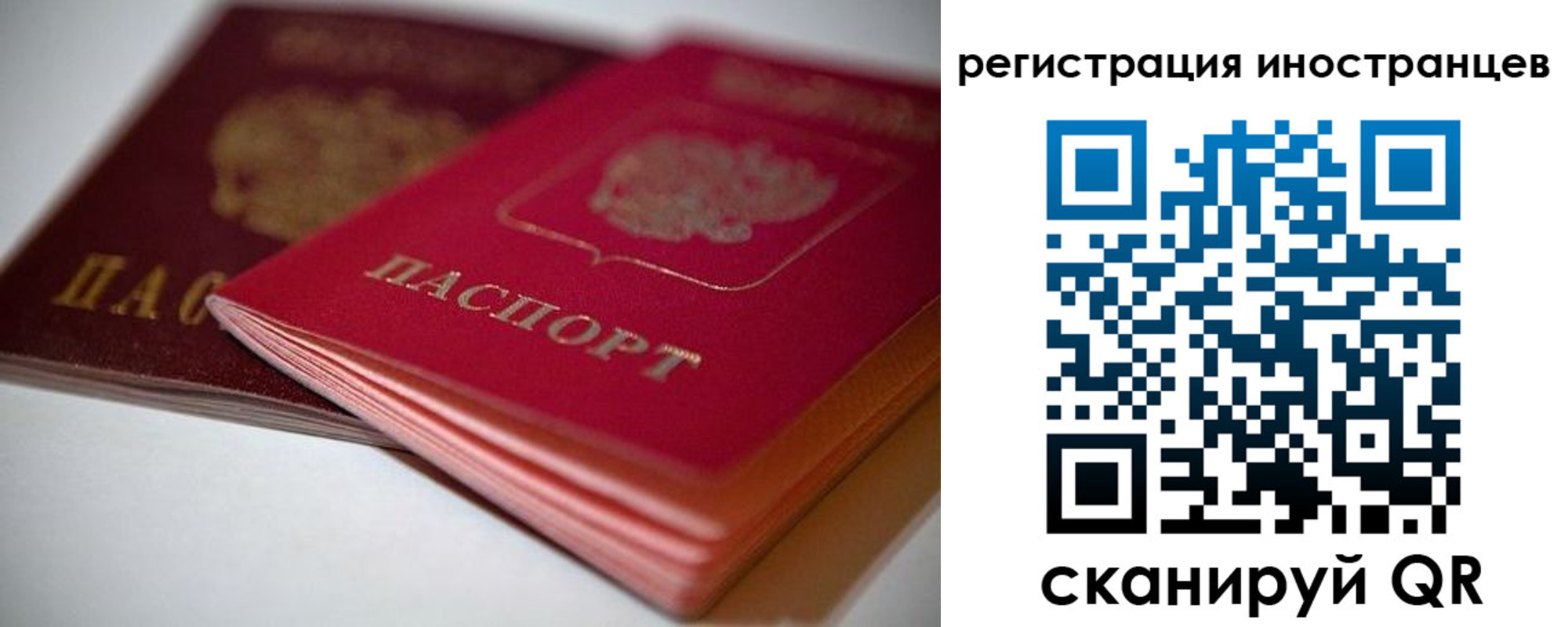 прописка штамп в Донском